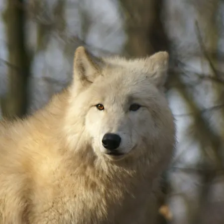 Jufa Im Brueckenkopfpark - Otel Jülich
