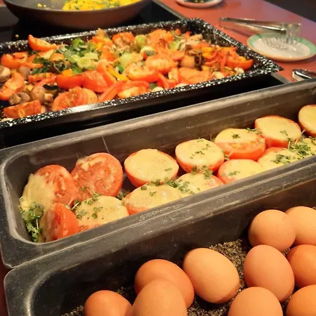 Hotel Jufa Im Brueckenkopfpark - 3*