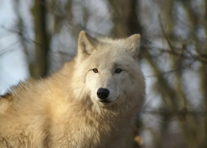 Jufa Im Brueckenkopfpark - Отель Юлих